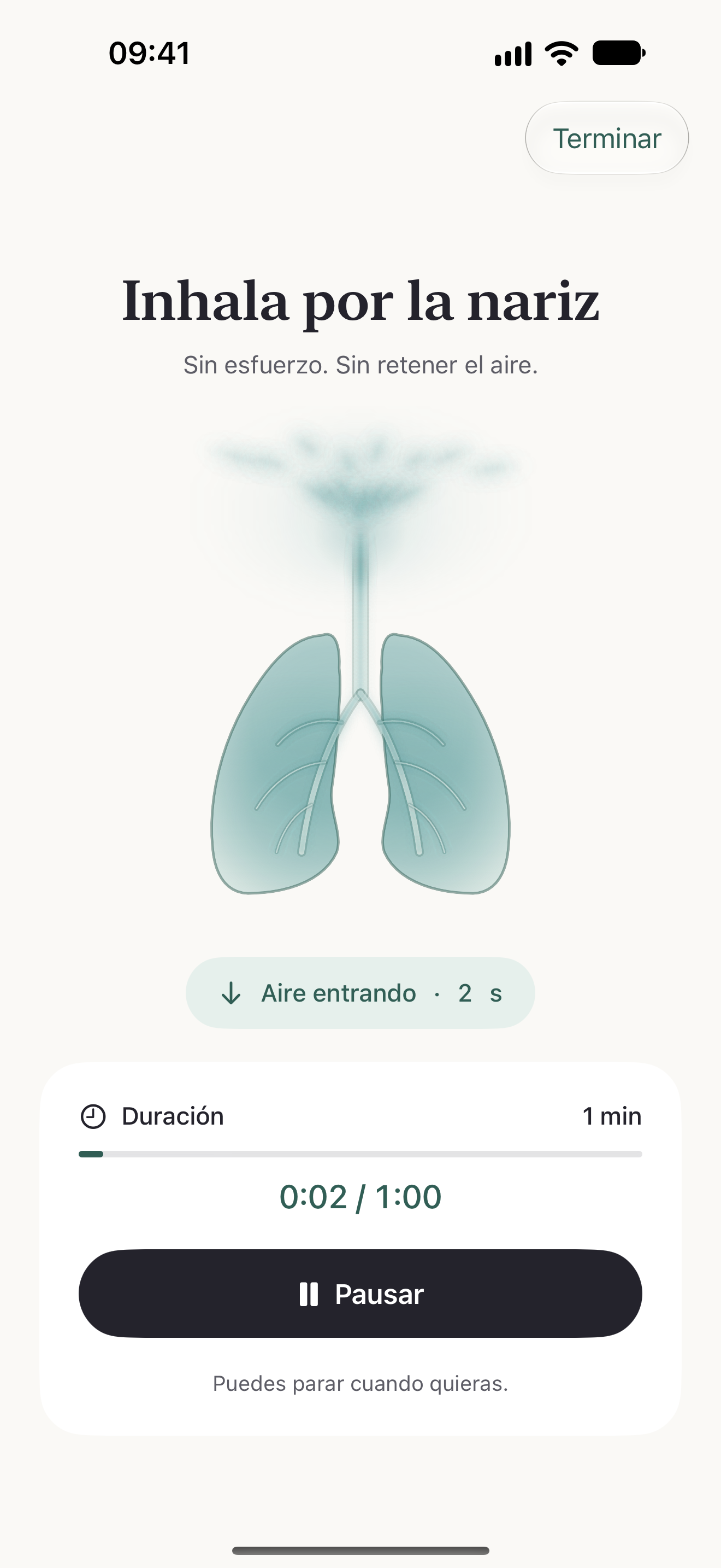 Sesión de respiración: ilustración del aire alrededor que entra hasta los pulmones, con el tiempo de la sesión.