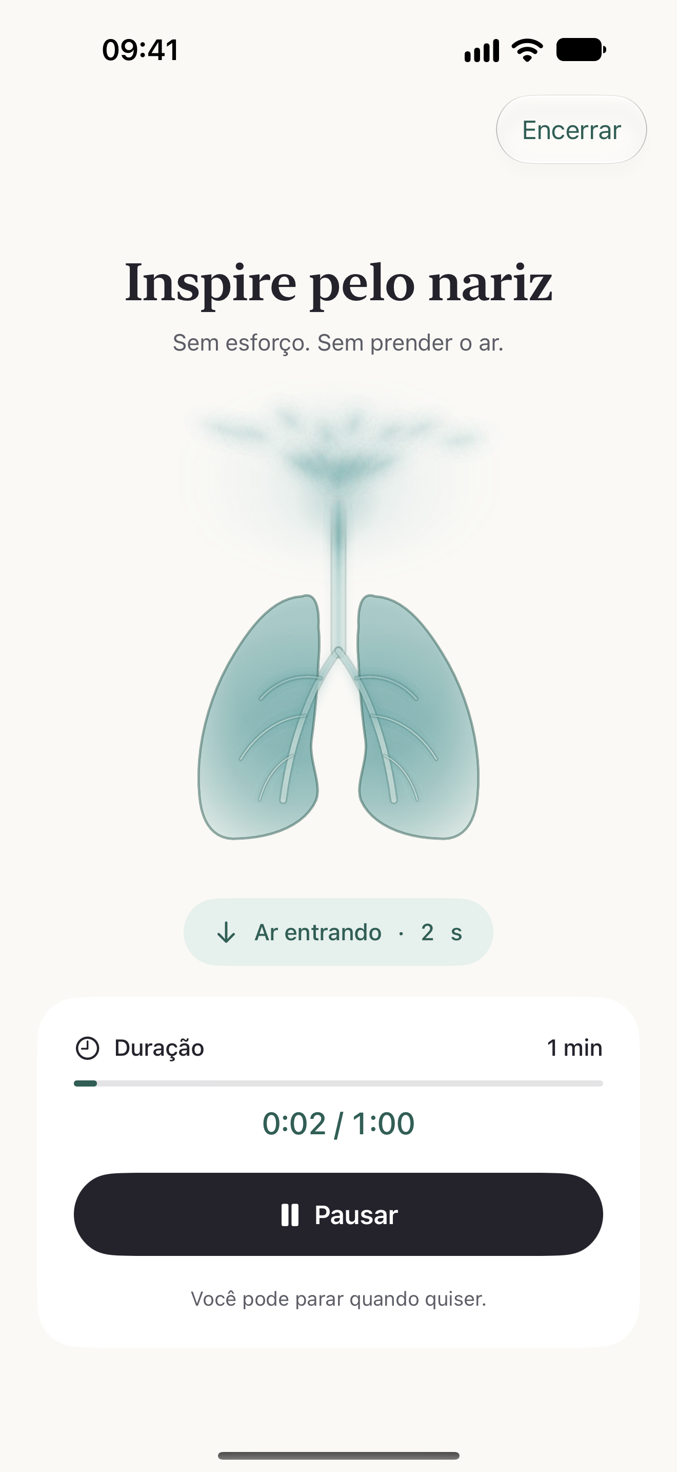 Sessão de respiração: ilustração do ar ao redor entrando até os pulmões, com o tempo da sessão.